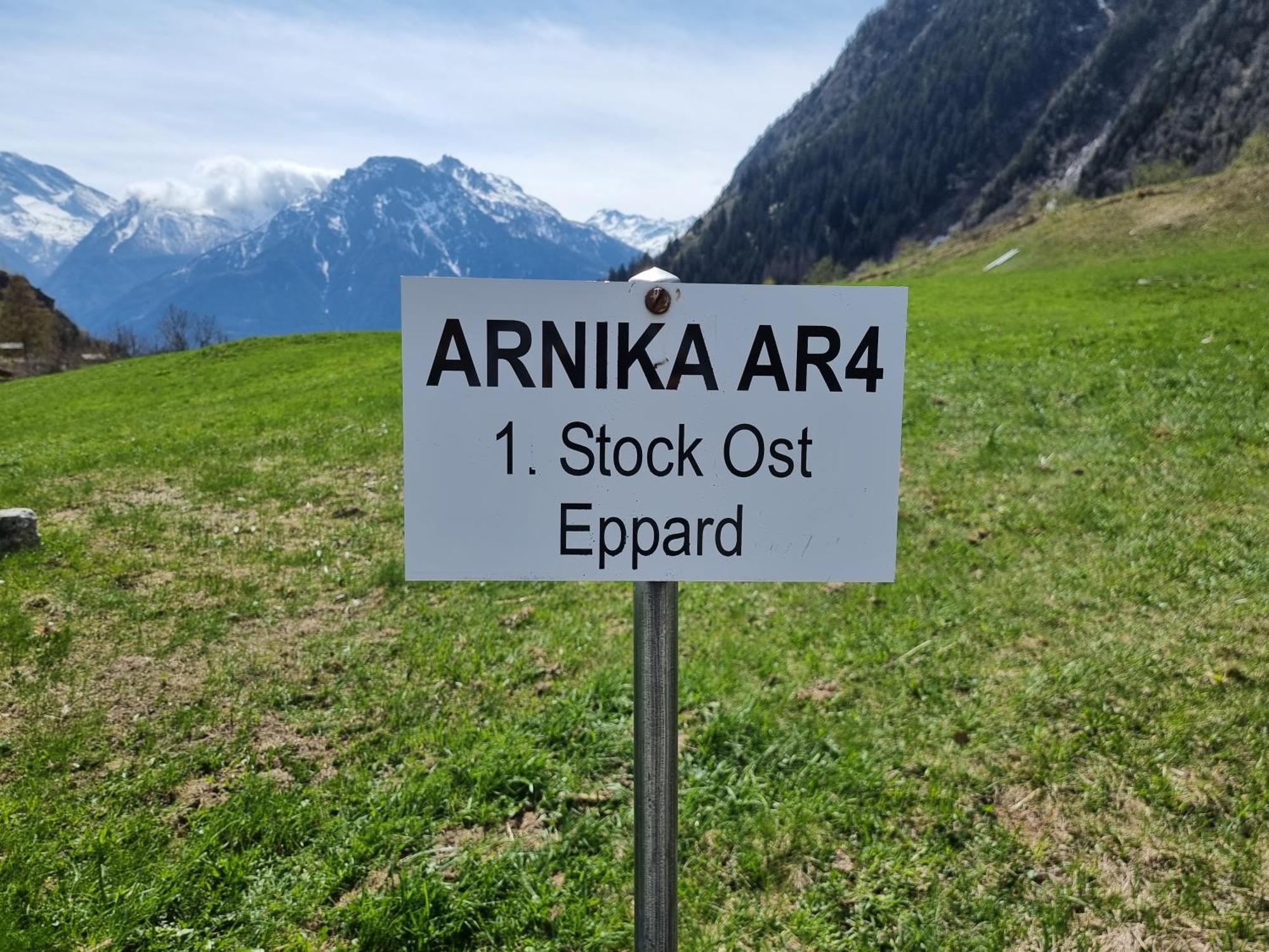 Arnika Apartment Blatten bei Naters Cameră foto