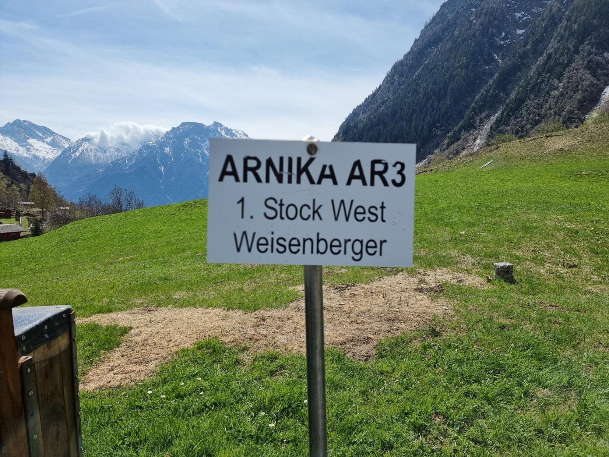 Arnika Apartment Blatten bei Naters Cameră foto